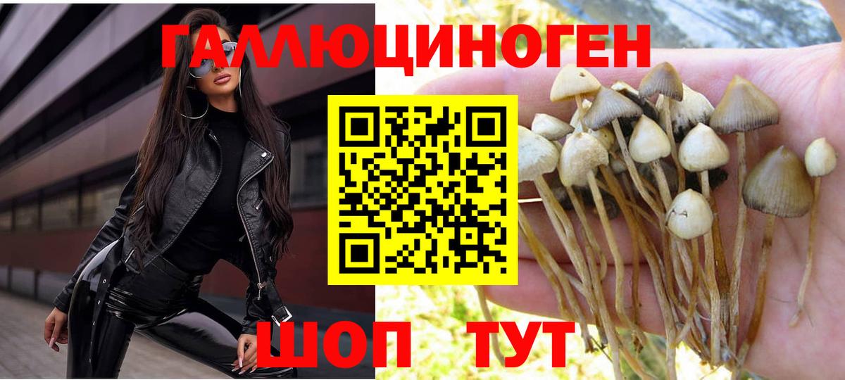 Галлюциногенные грибы MAGIC MUSHROOMS  Вход с VPN  Кувандык 